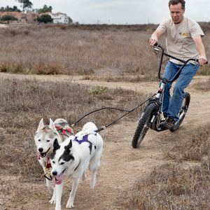 Double Scooter / Bikejor Line