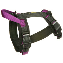 Load image into Gallery viewer, Flyball Harness 3/4&quot; Webbing
