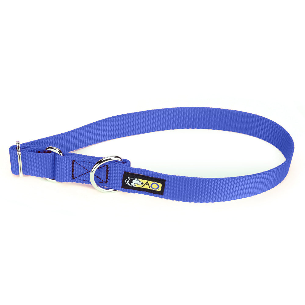 Radiance Blue Uptown Dog Collar