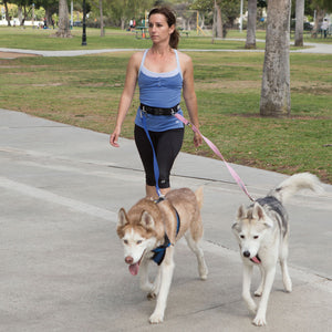 Hands-Free Dog Walking Belt for Canicross, Skijoring, Hiking, & Jogging – 3M Scotchlite Reflective Bands, Neoprene-Padded, Adjustable Waist