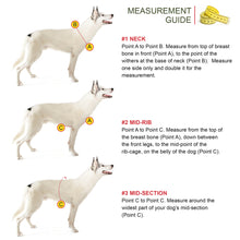 Load image into Gallery viewer, Flyball Harness 1&quot; Webbing