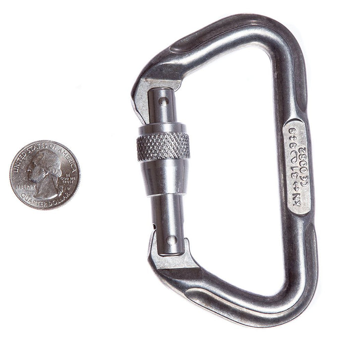 Locking-D Carabiner