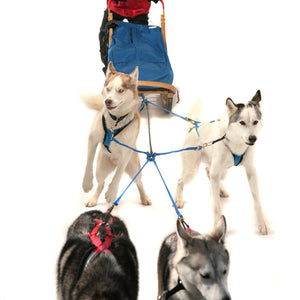 Sled Bundle (1-Dog with 2-Dog Option)