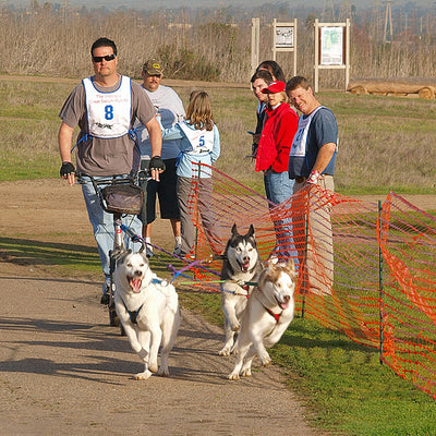 3 or 4 Dog Bikejor / Scooter Line
