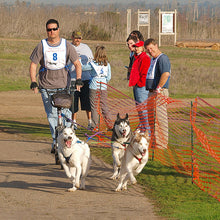 Load image into Gallery viewer, Scooter Line / Bikejor Line for 3-4 Dogs