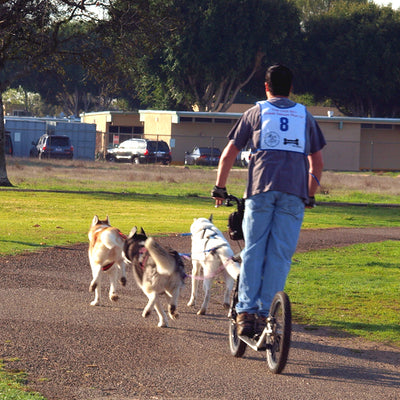 3 or 4 Dog Bikejor / Scooter Line