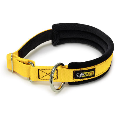 Padded Full Circle Collar, Large O-Ring