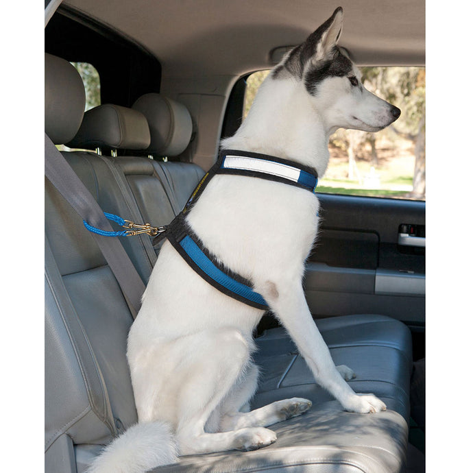 Safety First Seat Belt Restraint™