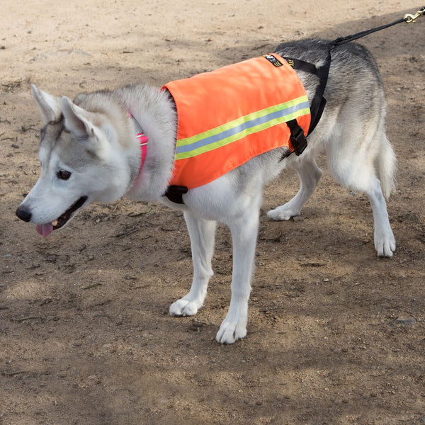 See-Me K9 Safety Vest – Alpine Outfitters