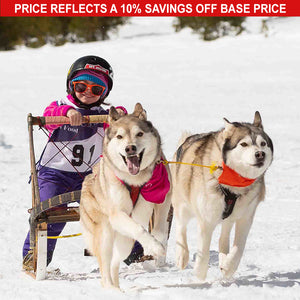 Sled Bundle (1-Dog with 2-Dog Option) – Alpine Outfitters