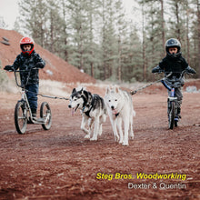 Load image into Gallery viewer, Hand Carved Cedar Dog Name Bone