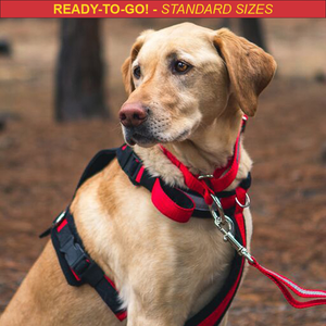 Urban Trail® Adjustable Harness, Ready-To-Go Sizes!