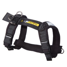 Load image into Gallery viewer, Urban Trail® Adjustable Harness, Ready-To-Go Sizes!