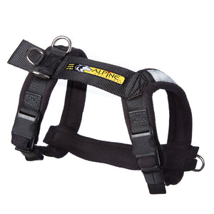 Urban Trail® Adjustable Harness, Ready-To-Go Sizes!