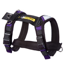 Load image into Gallery viewer, Urban Trail® Adjustable Harness, Ready-To-Go Sizes!