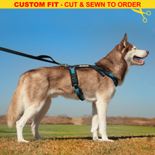 Load image into Gallery viewer, Urban Trail® Adjustable Harness (Half-Back/Shorty) - CUSTOM FIT - Cut &amp; Sewn to Order