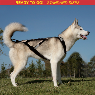 X-Back Harness (Ready-to-Go)