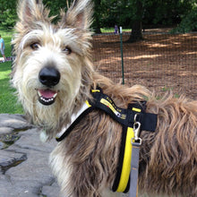 Load image into Gallery viewer, Urban Trail® Adjustable Harness (Half-Back/Shorty) - CUSTOM FIT - Cut &amp; Sewn to Order, Made in the USA