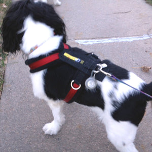 Urban Trail® Adjustable Harness (Half-Back/Shorty) - CUSTOM FIT - Cut & Sewn to Order, Made in the USA