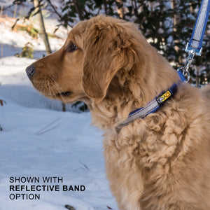 Limited Slip/Full Circle Puppy or Small Dog Collar - Made in the USA!