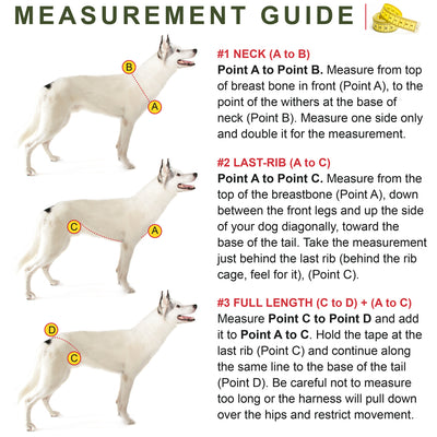 Basic Bikejor/Scooter Bundle (1-Dog with 2-Dog Option)